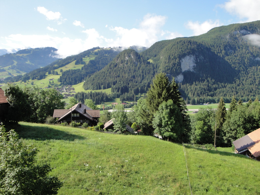 Aussicht Richtung Saanen